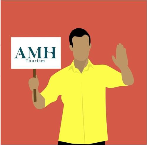 Airport Assistance