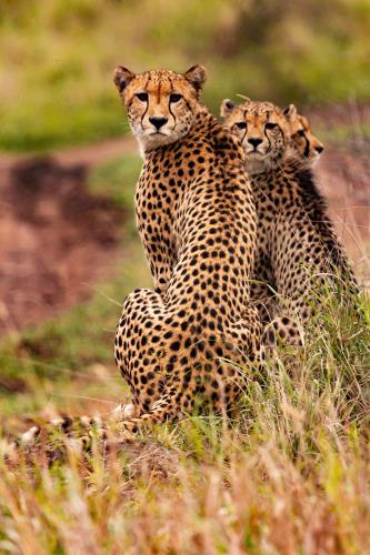 Kenya