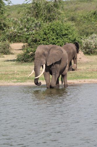 Amboseli